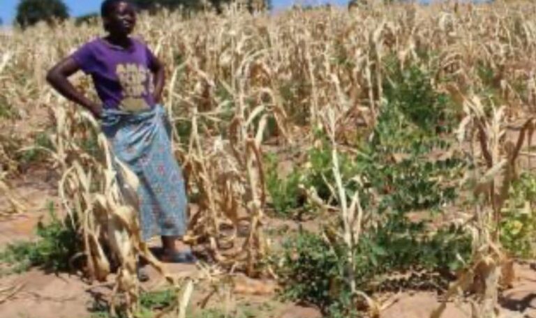 drought in zambia